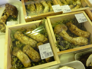 DSC01374.JPG