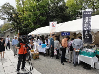 DSC01404.JPG