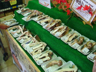 DSC04848.JPG