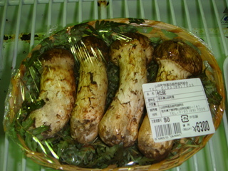 DSC04765.JPG